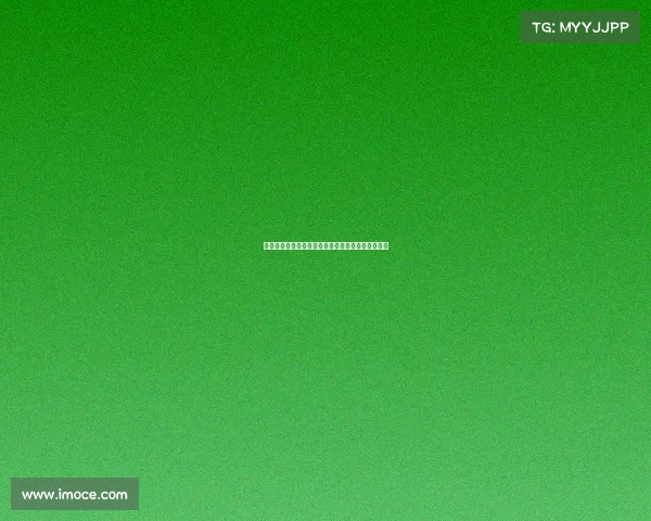 杨建平主办搏击赛事点燃全球激情彰显体育精神风采